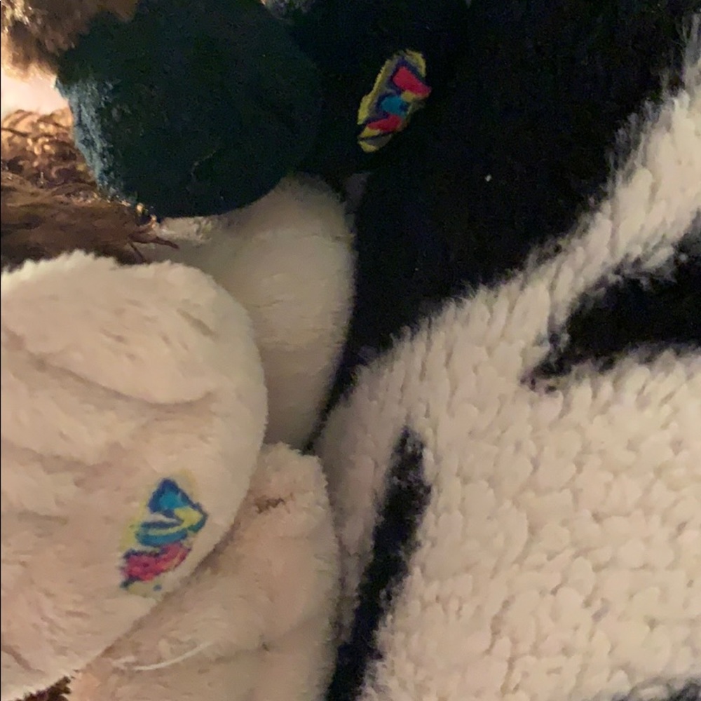 Webkinz Bundle - Picture 2 of 2